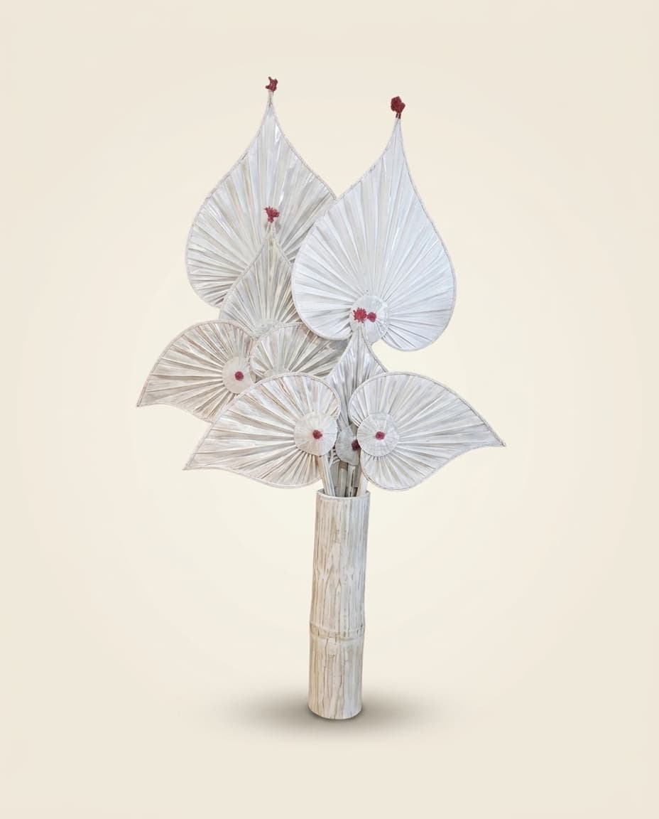 Woven Fan view 2